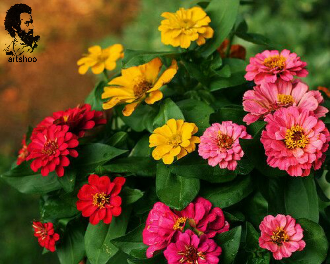 گل اورژینال رنگ روغن